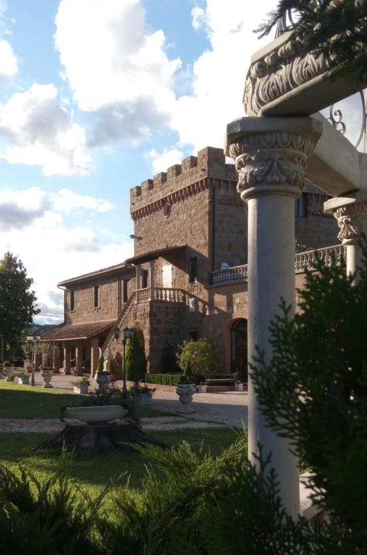 Appartamento Dependance Torretta Pucci Civitella dʼAgliano Esterno foto