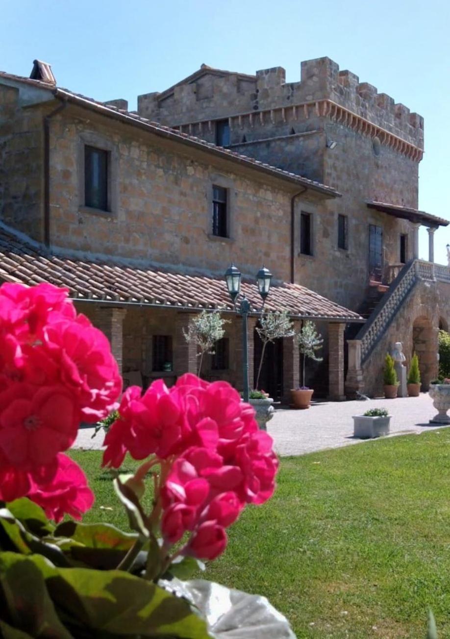 Appartamento Dependance Torretta Pucci Civitella dʼAgliano Esterno foto